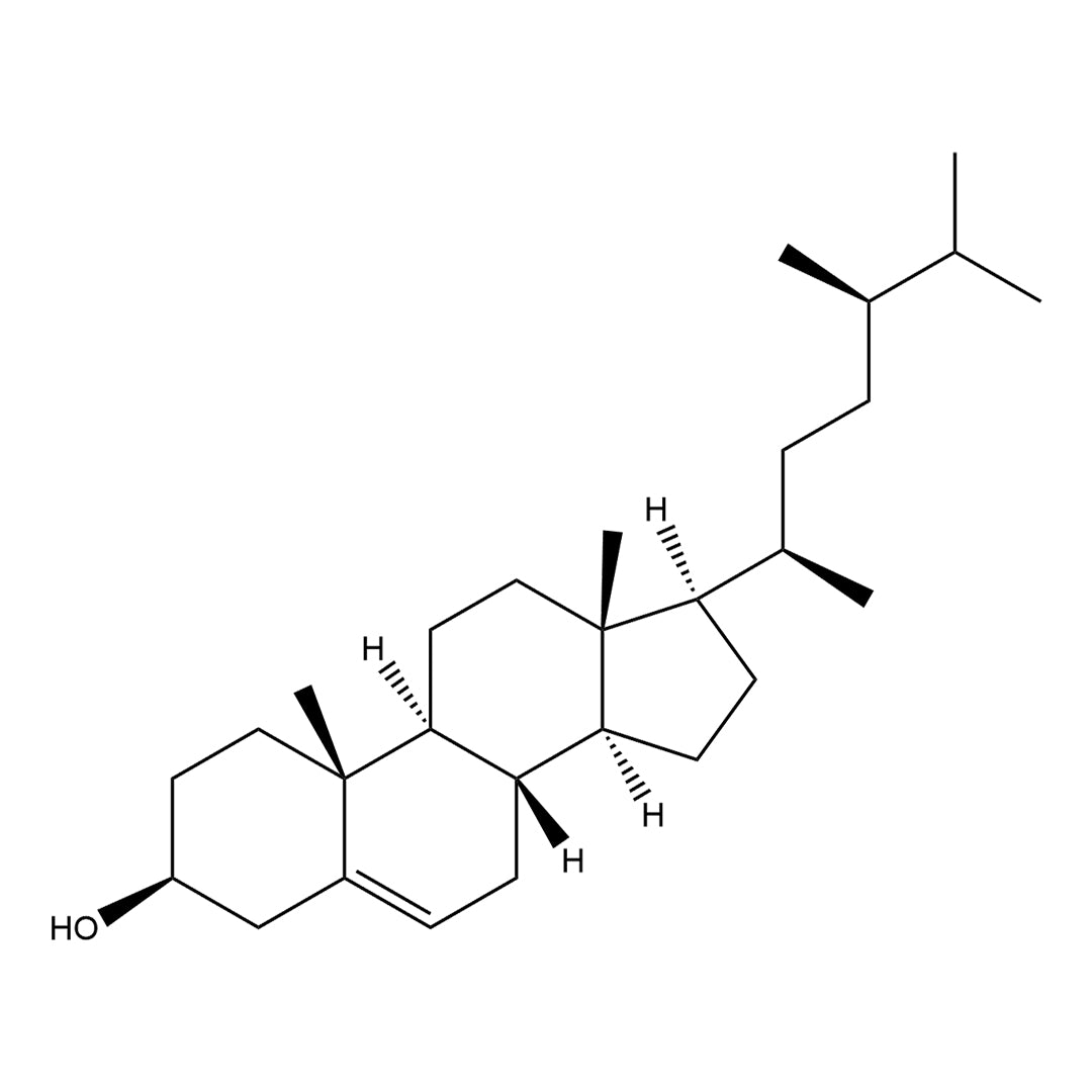 Chemical structure of Campesterol (14511): LXR agonist that enhances mRNA transfection