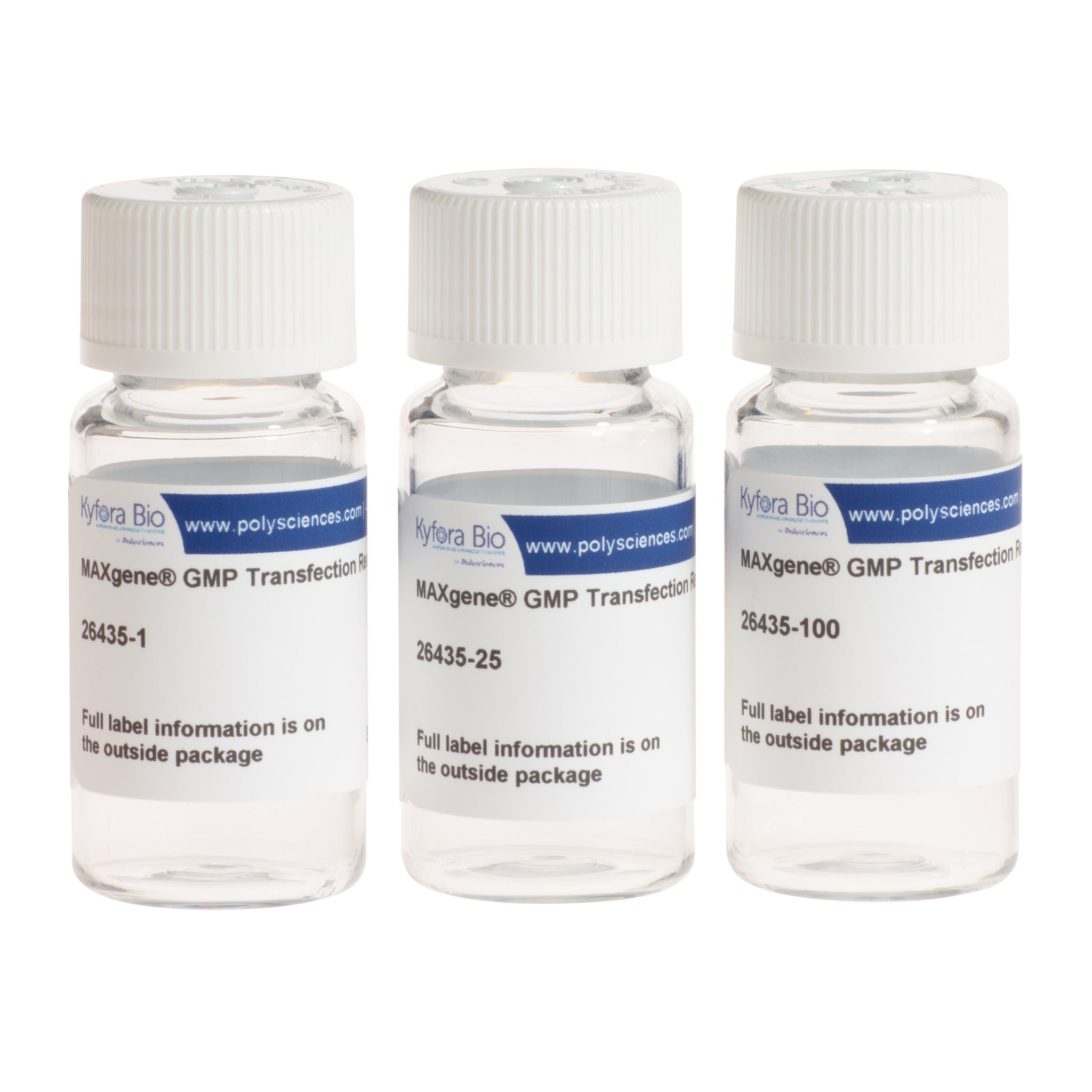 MAXgene® GMP Transfection Reagent, Powder (26435)