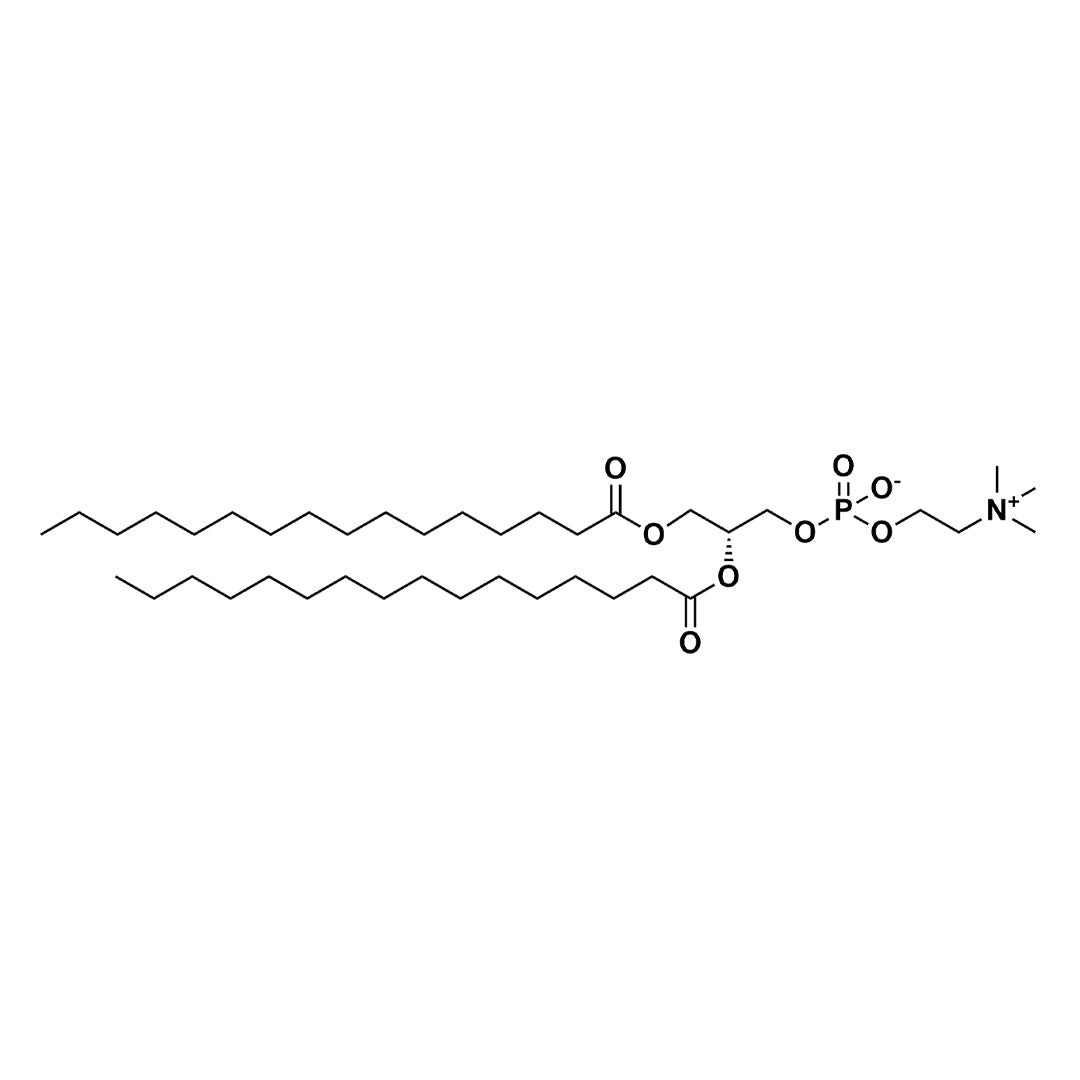 Chemical structure of DPPC (26449): an amphipathic phospholipid for gene and drug delivery