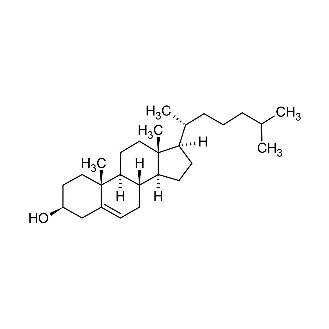 Chemical structure of Cholesterol