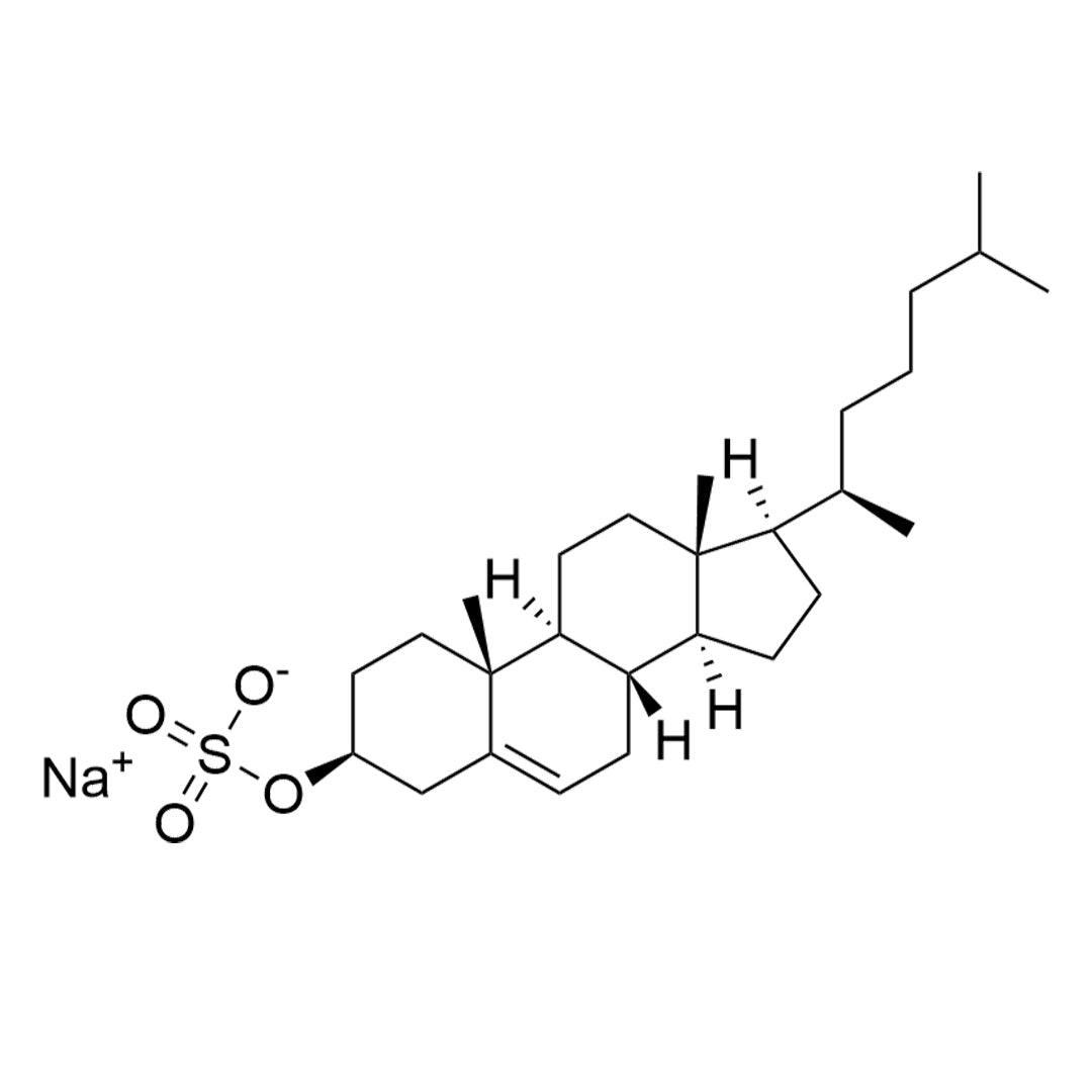 Chemical structure of Cholesterol Sulfate (14535): a cell membrane stabilizer and substrate for steriod synthesis