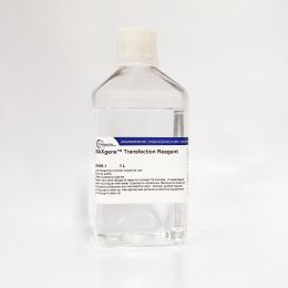 MAXgene® GMP Transfection Reagent, Solution (26406)