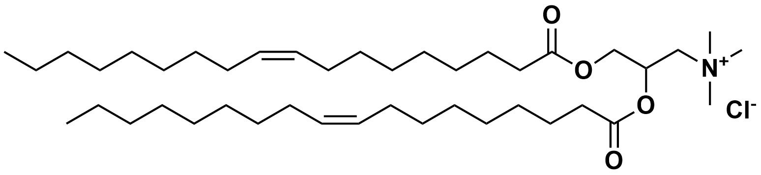 DOTAP Chloride (14475)