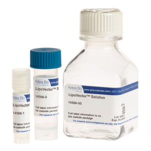 LipoVector™ Solution (14566)
