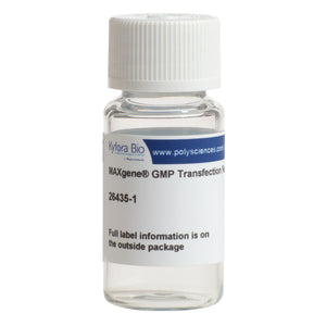 MAXgene® GMP Transfection Reagent, Powder 