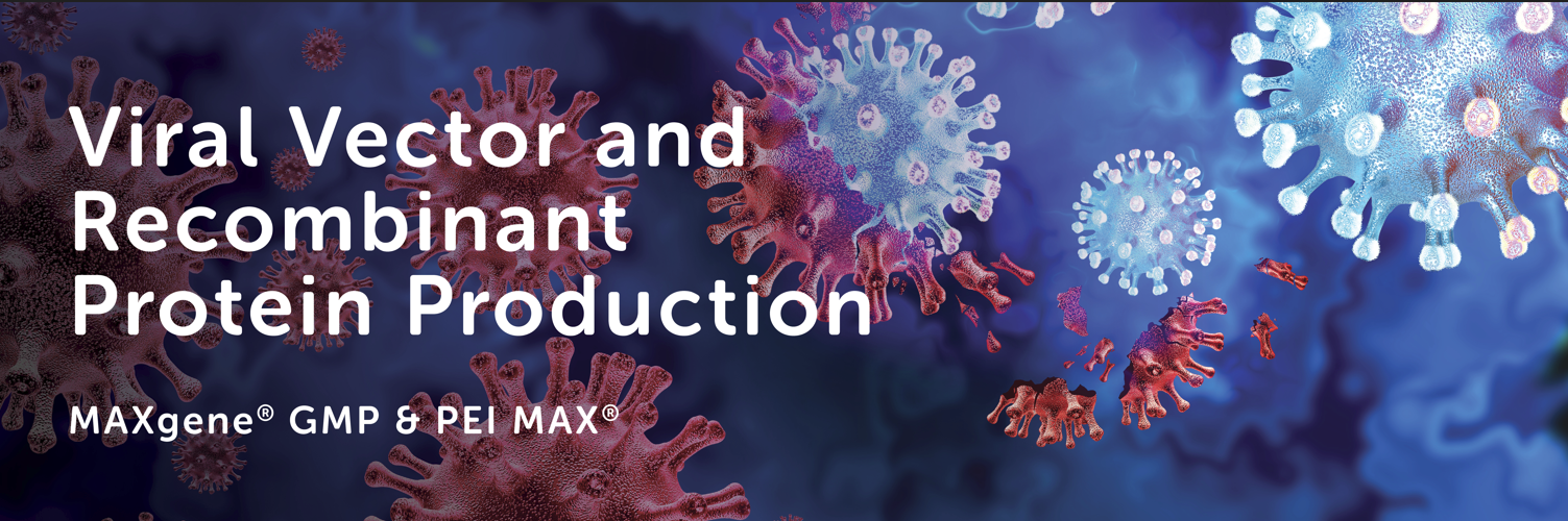 Viral vector and recombinant protein production banner