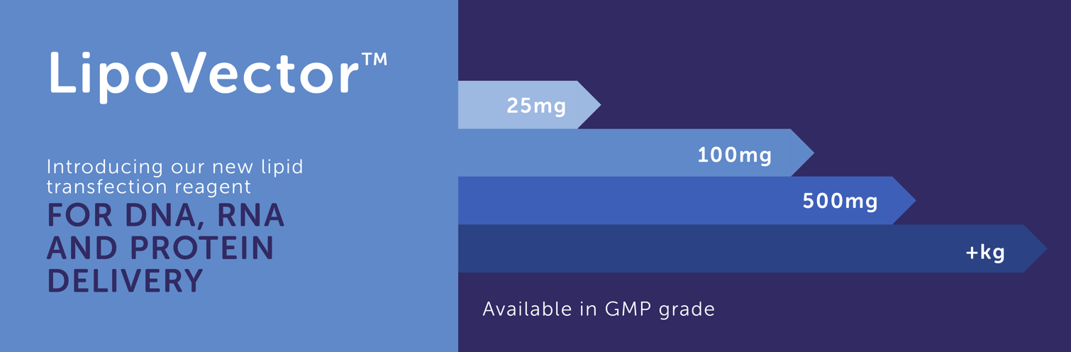 LipoVector our new lipid transfection reagent