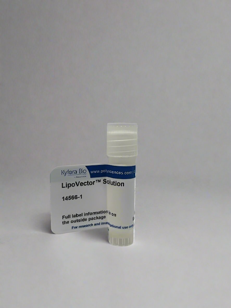 LipoVector™ Solution (14566)