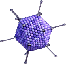 Transfection reagent