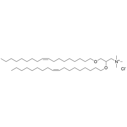DOTMA Chloride (14476)